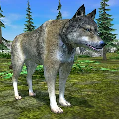 Взлом Wolf Simulator - Animal Games  [МОД Unlimited Money] - стабильная версия apk на Андроид