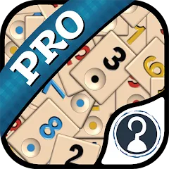 Скачать взлом Okey Pro (Окей Про)  [МОД Unlimited Money] - стабильная версия apk на Андроид