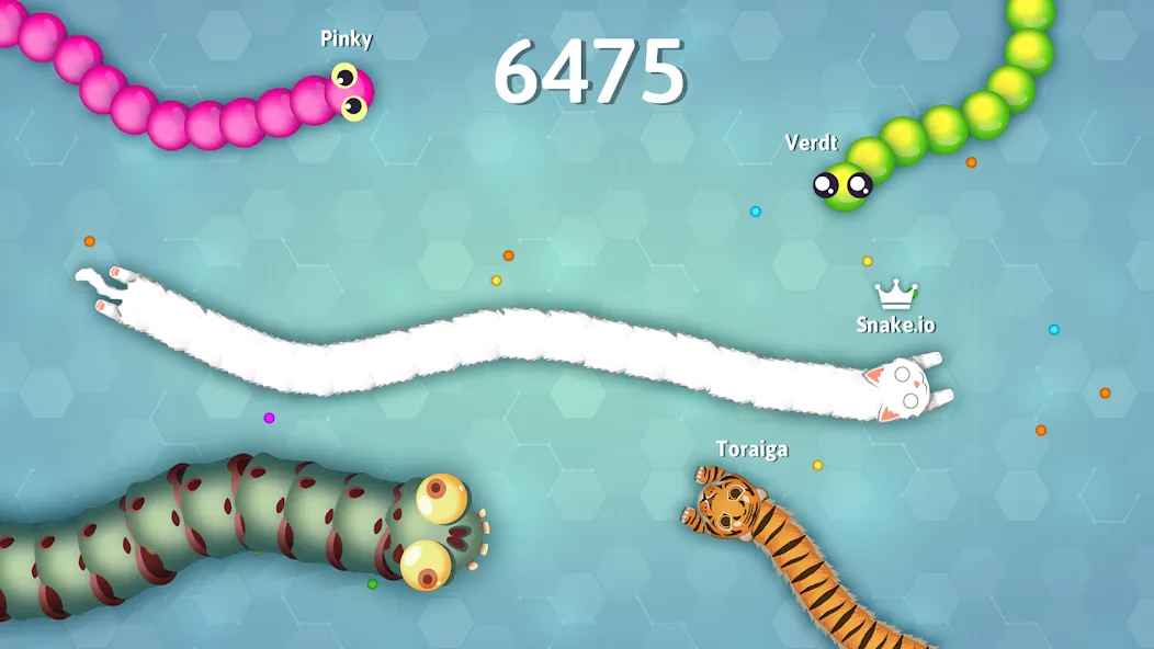 Snake.io - Fun Snake .io Games  [МОД Бесконечные монеты] Screenshot 5