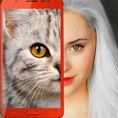 Взломанная Kitten: what cat are you? joke  [МОД Mega Pack] - полная версия apk на Андроид