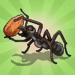 Взлом Pocket Ants: Colony Simulator (Покет Муравьи)  [МОД Бесконечные монеты] - последняя версия apk на Андроид