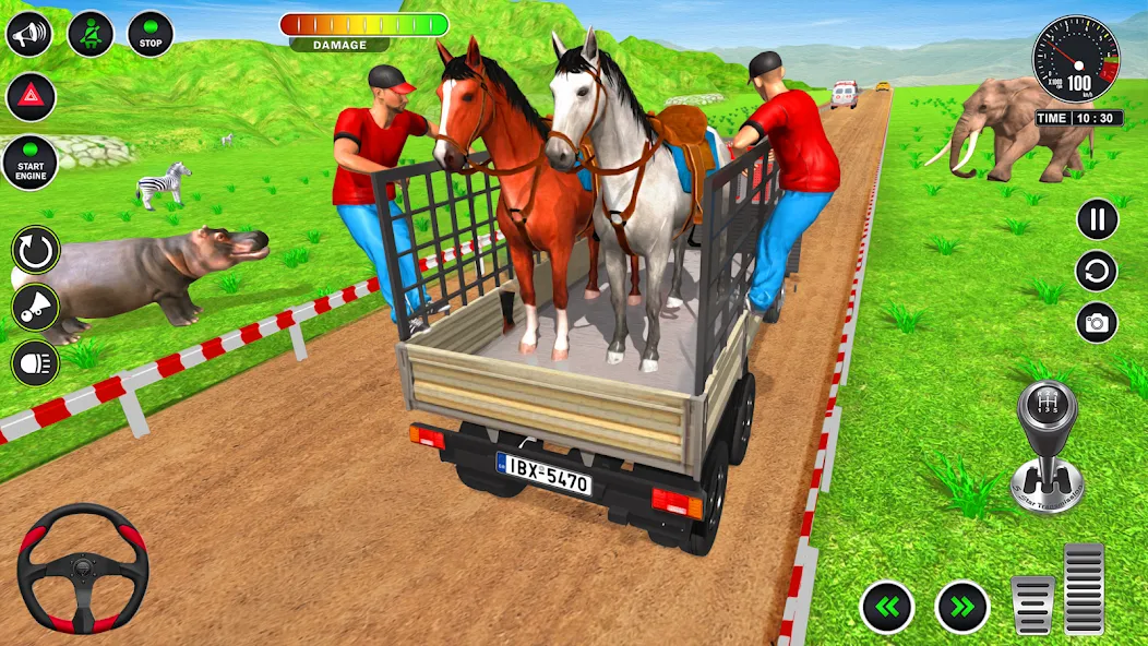 Animal Transport Truck Game 3D (Игра Грузовик для перевозки животных)  [МОД Много монет] Screenshot 4