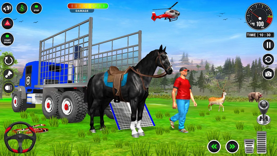 Animal Transport Truck Game 3D (Игра Грузовик для перевозки животных)  [МОД Много монет] Screenshot 5