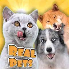 Скачать взломанную Adopt a pet : Corgi Games (Риал Петс бай Фруви)  [МОД Unlimited Money] - стабильная версия apk на Андроид