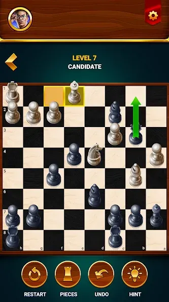 Chess - Offline Board Game  [МОД Меню] Screenshot 5