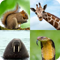 Взломанная Animal Quiz: Guess the Animal  [МОД Mega Pack] - последняя версия apk на Андроид