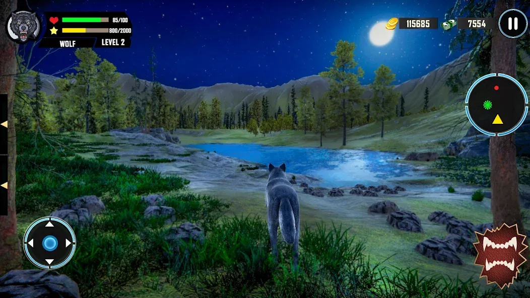 Wild Wolf Simulator Games  [МОД Unlocked] Screenshot 4