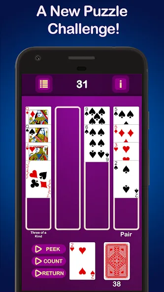 Puzzle Poker Joker's Wild  [МОД Много монет] Screenshot 1