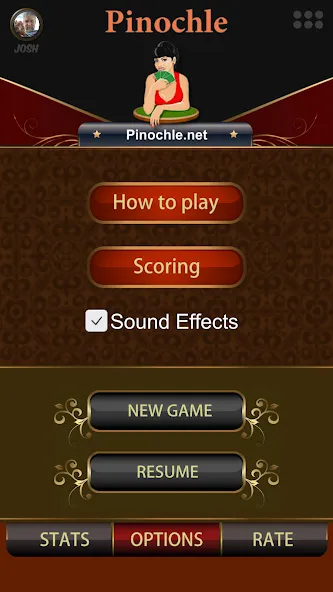 Pinochle.Net  [МОД Unlimited Money] Screenshot 2