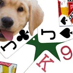 Скачать взлом K9 Euchre (К9 Юкер)  [МОД Mega Pack] - полная версия apk на Андроид