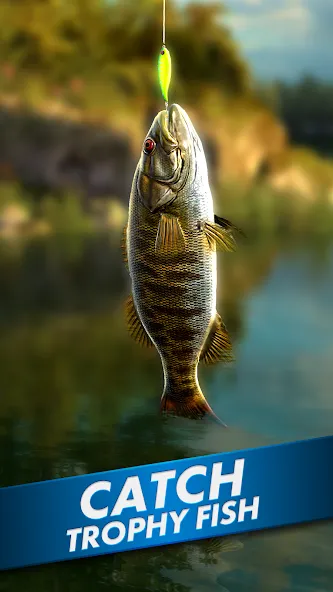 Ultimate Fishing! Fish Game  [МОД Бесконечные деньги] Screenshot 1