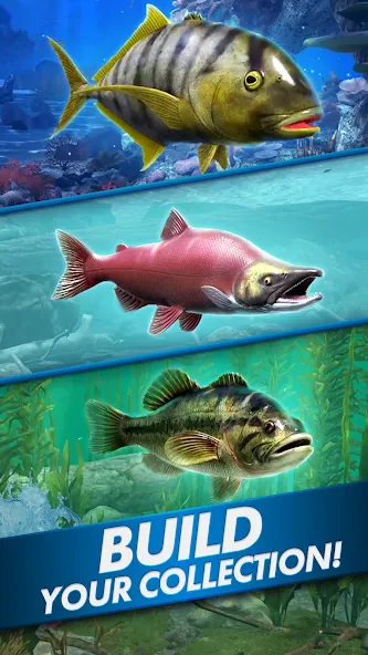 Ultimate Fishing! Fish Game  [МОД Бесконечные деньги] Screenshot 5