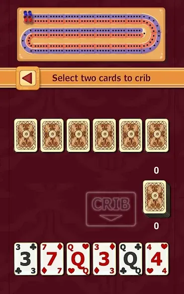 Cribbage (Криббидж)  [МОД Бесконечные монеты] Screenshot 4