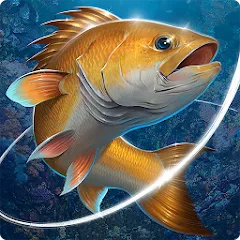 Скачать взломанную Fishing Hook  [МОД Много монет] - последняя версия apk на Андроид