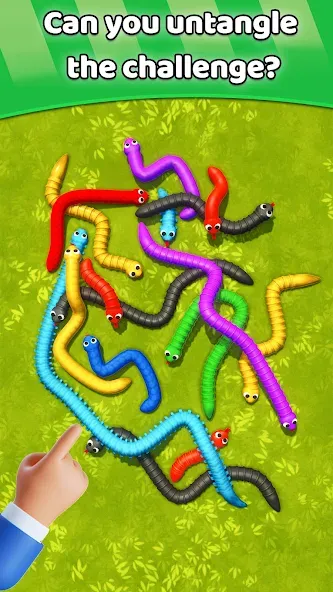 Tangled Snakes Puzzle Game (Танглед Снейк 3Д)  [МОД Бесконечные монеты] Screenshot 5