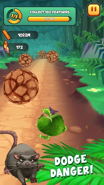 Kakapo Run: Animal Rescue Game (Какапо Ран)  [МОД Бесконечные деньги] Screenshot 4