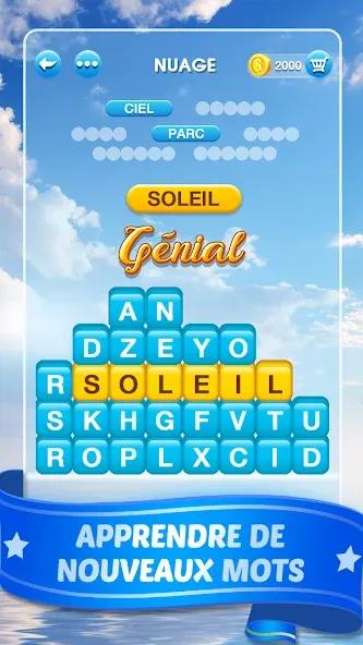 Mots Malins - Jeu de mots pro (Мо Малинс)  [МОД Mega Pack] Screenshot 2