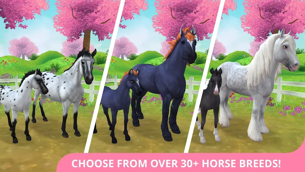 Star Stable Horses (СТар Стабл Хорсес)  [МОД Unlocked] Screenshot 1