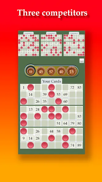 Lotto  [МОД Бесконечные монеты] Screenshot 3