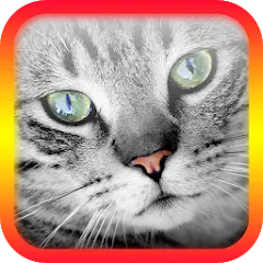 Скачать взлом Translator for Cats Prank  [МОД Много монет] - стабильная версия apk на Андроид