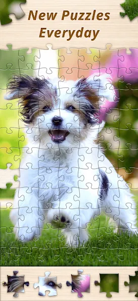 Jigsaw Premium Puzzles HD (Джигсоу)  [МОД Много монет] Screenshot 5