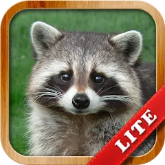 Взломанная Animals for Kids  [МОД Mega Pack] - последняя версия apk на Андроид